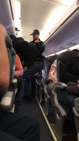 United Airlines Pepsi GIF - Find & Share on GIPHY