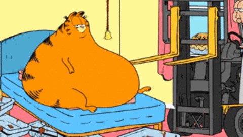 Garfield GIF - Find & Share on GIPHY