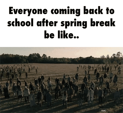 Spring Break GIF - Find & Share on GIPHY