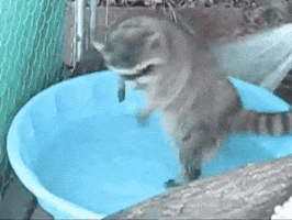 Happy Shower GIF - Find & Share on GIPHY
