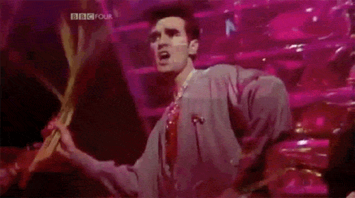 Image result for morrissey flowers gif