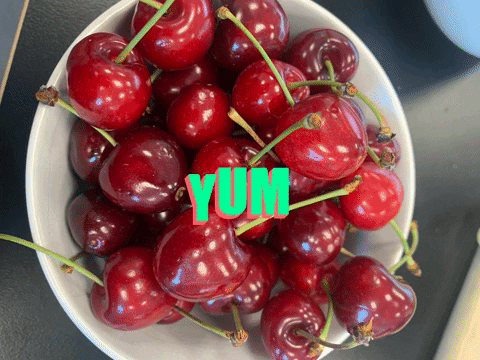 giphy.gif