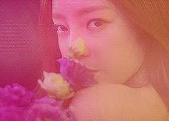Wu Min Ha ♠ Les roses sont belles, mais leurs épines blessent Giphy