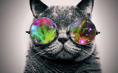 žuks kaķis brilles mirgo