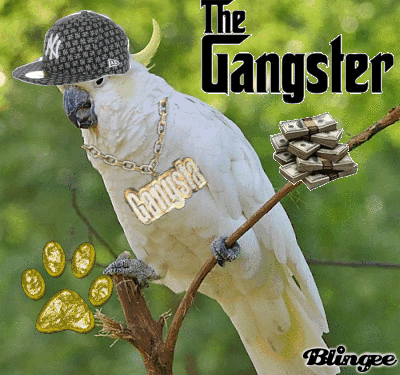 Gangsta PFP GIF