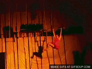 Image result for trapeze gif