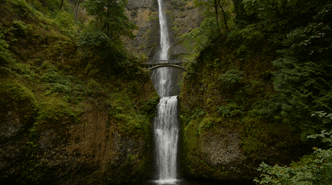 Related image