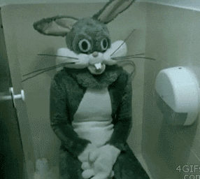Toilet GIF - Find & Share on GIPHY