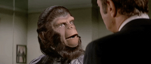 Image result for escape from the planet of the apes gif