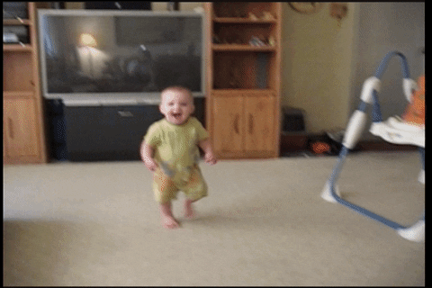 Free Funny Baby GIF by AFV Pets - Find & Share on GIPHY