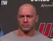 Rogan GIF - Find & Share on GIPHY