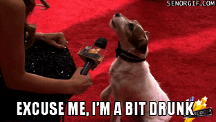 Drunk Excuse Me GIF by Cheezburger - Find & Share on GIPHY