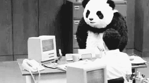 Angry Panda best Gif