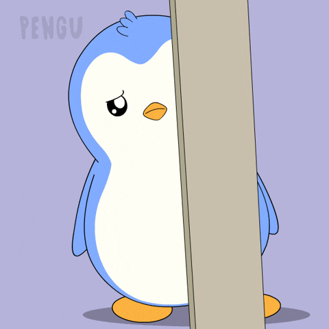 Pinguin Timid