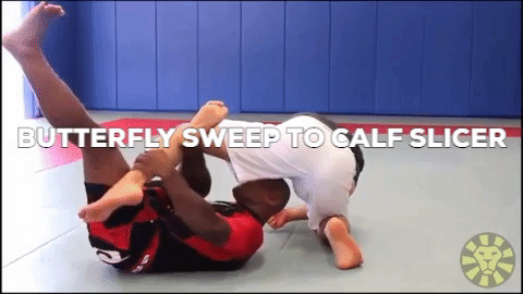 Butterfly Guard Sweep to Calf Slicer