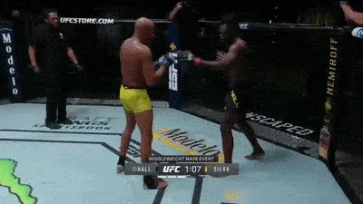 giphy.gif