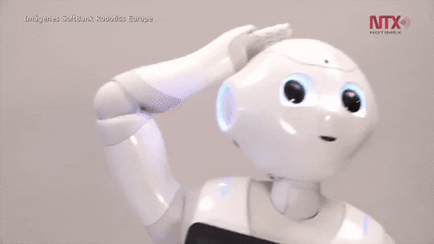 Animated GIFs - Find & Share on GIPHY