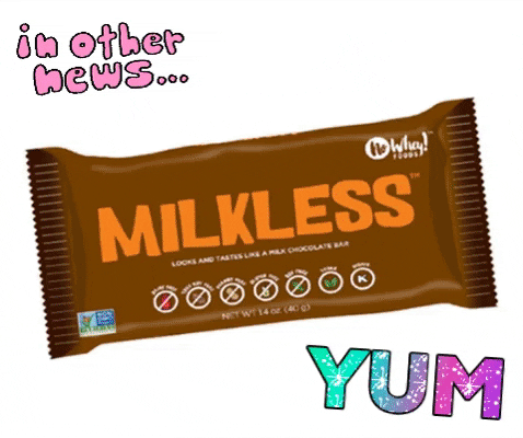 whey chocolate gluten giphy allergy friendly everything