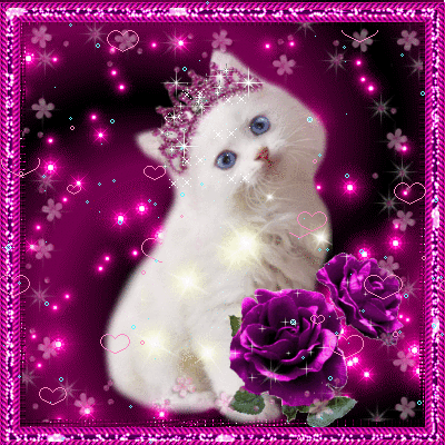 Kitties GIF - Find & Share on GIPHY