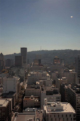 City Portland GIF by hateplow