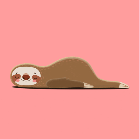 Animals GIF