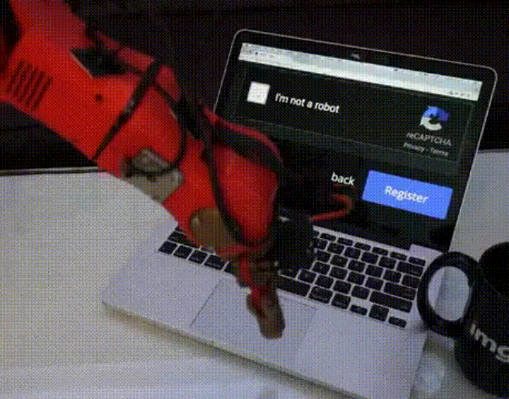 giphy.gif