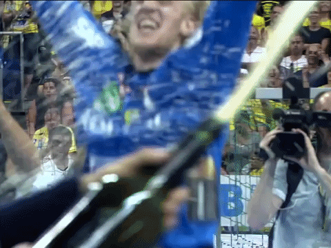 Just Dance Handball GIF by Rhein-Neckar Löwen