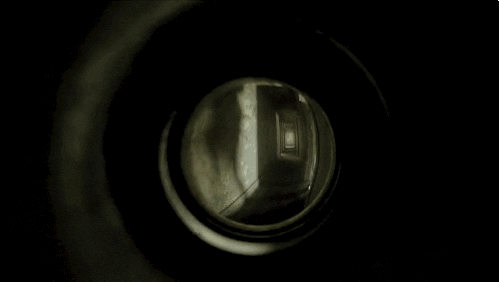 giphy.gif