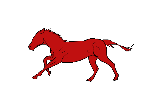 Horse Running