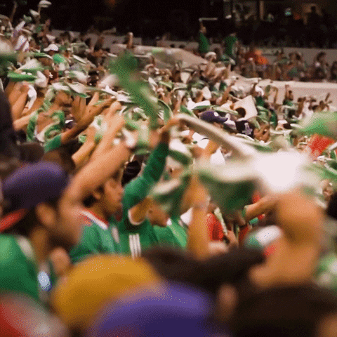 aficionados mexicanos agitando toallas en apoyo al equipo de México.- Blog Hola Telcel