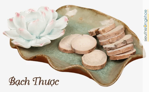 Tã¢M An LạC Tiãªn ThảO Dæ°ÃȣC ChữA Bá»ÂNh MấT Ngá»§ GIF