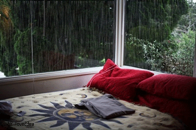 bed raining rain