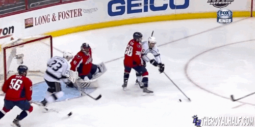 Washington Capitals GIF - Find & Share on GIPHY