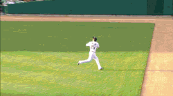 detroit tigers