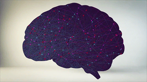 Cerebro con diferentes conexiones neuronales activándose