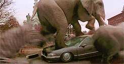  animals car crush elephant jumanji GIF