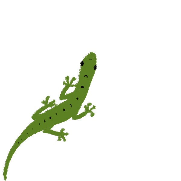 Get Printable Reptile Flashcards Gif Printables Colle vrogue.co