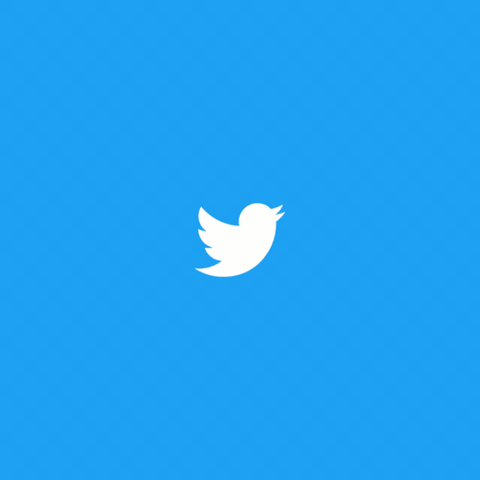 a gif showing how to change your twitter timeline