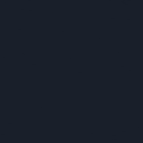 VPN Privacy