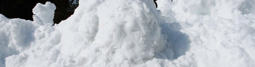 corgi dog cute snow