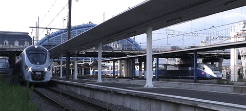 France Trains GIF - Find & Share on GIPHY