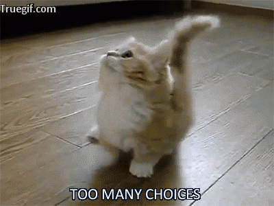 choices cat
