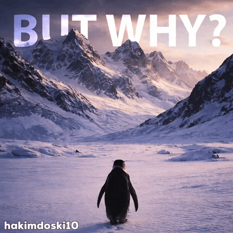 But Why Penguin