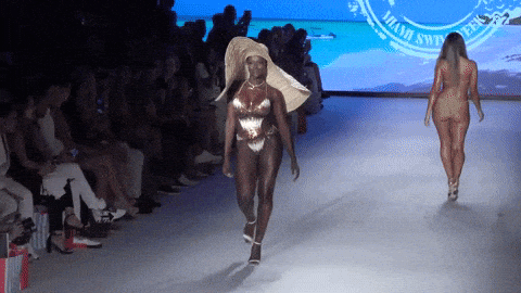 giphy-downsized-large.gif