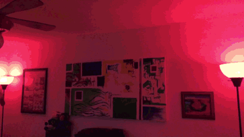 giphy.gif