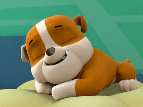 chase rubble paw patrol