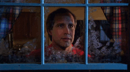 Christmas Vacation GIF  Find & Share on GIPHY