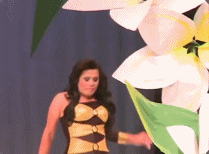 giphy.gif
