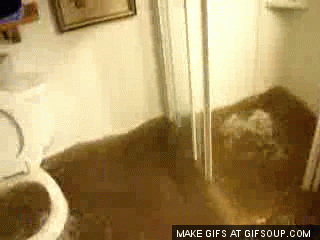 Fuite d'eau dans la cuvette wc suspendu SAS