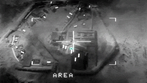 A 10 Warthog Strong GIFs - Find & Share on GIPHY